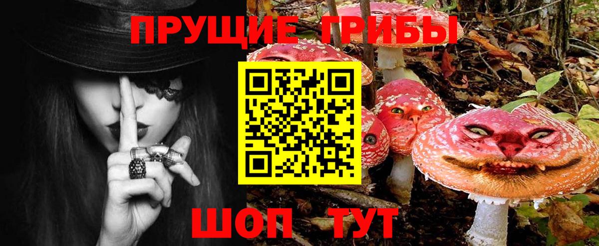 Псилоцибиновые грибы Cubensis  Вход с VPN  Туймазы  Галлюциногенные грибы мицелий 